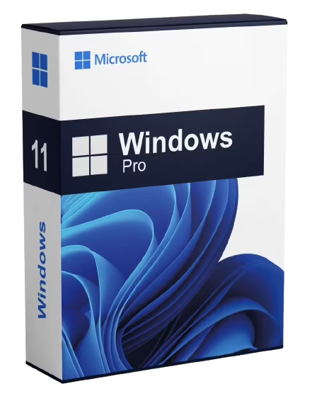 LICENCE WINDOWS 11 Pro Steaker