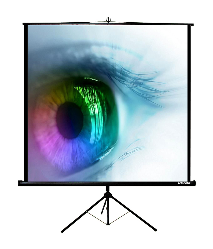 Ecran Video Projecteur Tripod 240/240